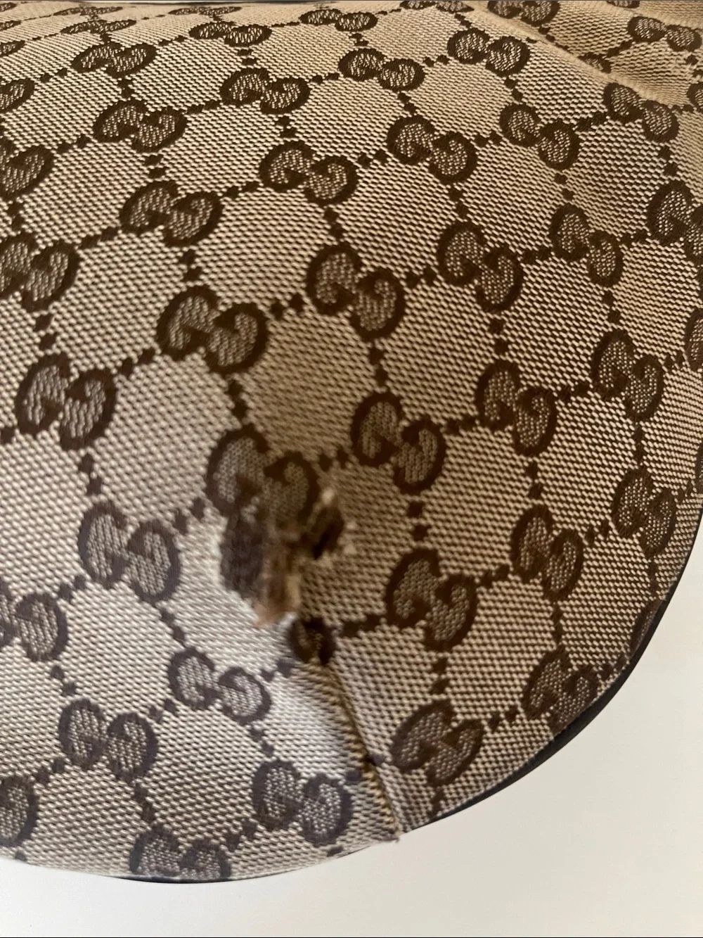 Gucci Beige/Brown GG Canvas Hobo with Green and Red Web Strap